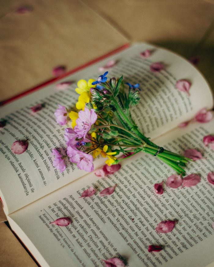 A bouquet of wildflowers resting on an open book with scattered petals, evoking vintage tranquility.